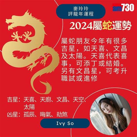 屬龍2024年運勢|麥玲玲2024龍年運程｜12生肖運勢全面睇+開運大法 4 